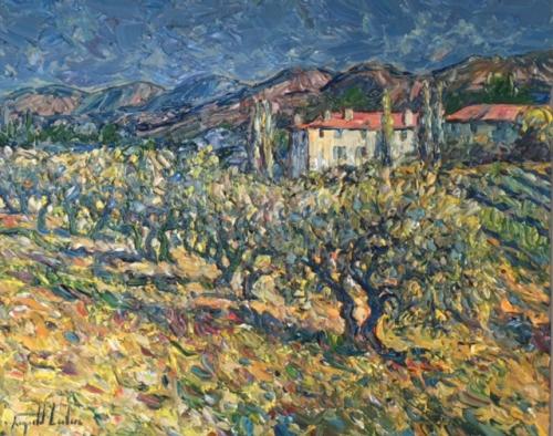 Vue de la Bastide Domaine Souviou/ Provence
