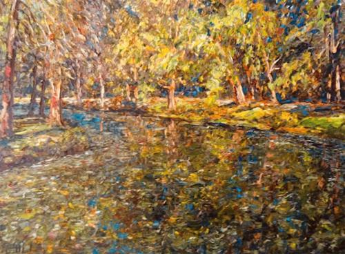 L'Etang Aix Reflets D'Arbre Domaine Masezerets