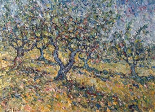 Les Oliviers du Domaine Souviou Provence