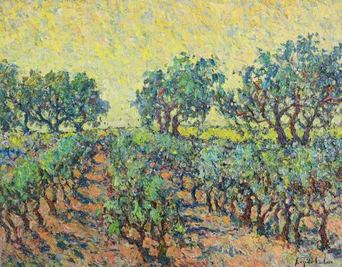 Oliviers et Vignes Provence